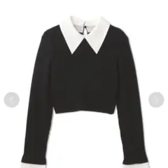 JILL by JILL STUART 襟付　クロップドニットトップス　新品