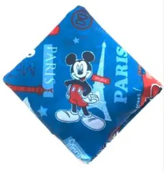 ⭐️ディズニーランドパリ　エコバッグのサムネイル