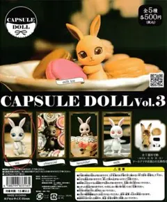 CAPSULE DOLL vol.3 ice