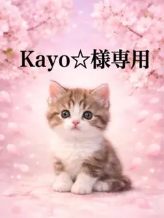 Kayo☆様専用