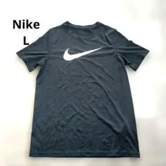 Nike THE NIKE TEE L Tシャツ DRY-FIT
