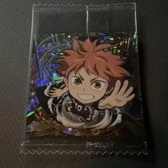 にふぉるめーしょん 劇場版ハイキュー!! ゴミ捨て場の決戦 日向翔陽