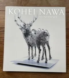 名和晃平 シンセシス KOHEI NAWA SYNTHESIS アートブック - メルカリ
