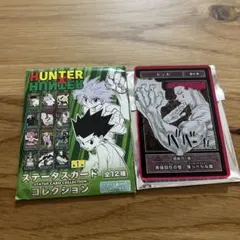 ❣️希少旧作アニメ♦️ホログラム【ヒソカ】⭐ハンターハンターカードダス ❣️希少旧作アニメ♦️ホログラム【ヒソカ】⭐ハンターハンター