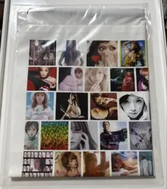 浜崎あゆみ 肩掛けショッパー 25th Anniversary LIVE 特典