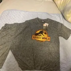 Item thumbnail for item 83e78e40-5ab0-4dc4-a9ee-9beb0e6691be