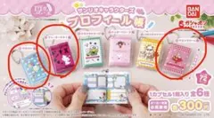 ど*ま様 サンリオ プロフィール帳 3点セット マロンクリーム チャーミーキティ
