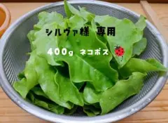 mayu様 専用 400g以上【今回は見送りの場合お知らせください】のサムネイル
