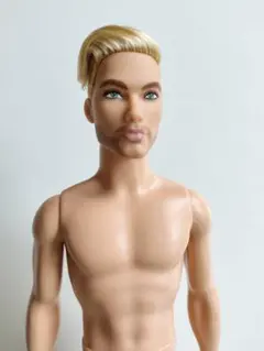 Barbie Looks ken