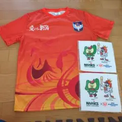アルビレックス新潟 TEAM AS ONE Tシャツ M - メルカリ