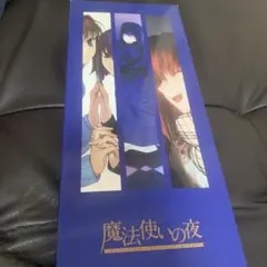 レア 希少品 ラスト 魔法使いの夜 販売終了 コミケ B2タペストリー 蒼崎青子 レア 希少品 ラスト 魔法使いの夜 販売終了 コミケ B2タペストリー 蒼