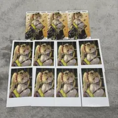 にじさんじ WORLD TOUR 2025 福岡 チェキ風カード 星川サラ