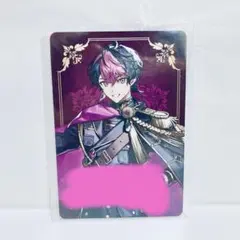 ボイシングチップス 第2弾 VOISINGチップス2 LAN
