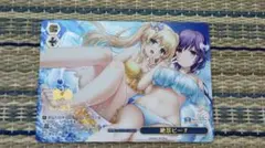 WS PRR 絶景ビーチ