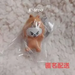 SKZOO つまんでつなげてますこっと vol.2 リービット(ボールチェーン)