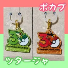 即購入⭕️匿名配送 ポケモン 30周年 ロゴマスコット2 ツタージャ ポカブ