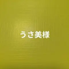 うさ美様専用ページ【お気に入り登録後に作成に入ります】