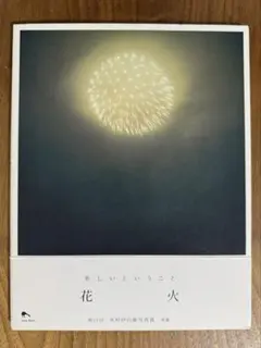 【写真集】花火　川内倫子