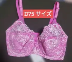 2026年最新】DIANA ブラジャーの人気アイテム - メルカリ