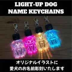 Item thumbnail for item f2fcb5d8-0e0e-47ff-85d9-fe593725af9e