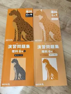 予習シリーズ　6年(下) 理科　難関校対策