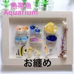 チャッピー様 リクエスト 2点 まとめ商品　割引き済み