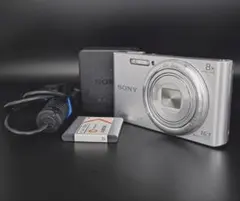SONY Cyber-shot DSC-W380 バックライト不良 - メルカリ