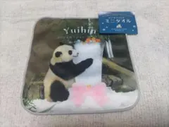 2025年最新】アドベンチャーワールド結浜の人気アイテム - メルカリ