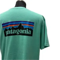 Patagonia ロゴ Tシャツ Lサイズ