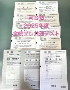 2025年第1回全統共通テスト模試 河合塾 過去問 CD付 - メルカリ