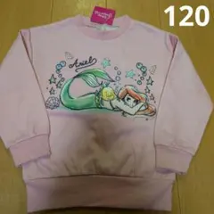 アリエル　トレーナー