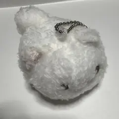 ポメラニアンもち ガチャガチャ マスコット キーホルダー