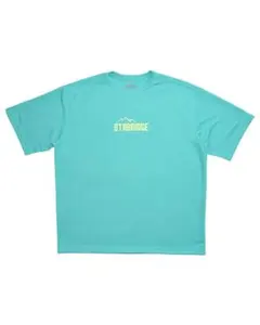 Item thumbnail for item 46c63c21-7505-40a6-aef1-0fe0c1c3e6be