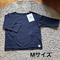 Item thumbnail for item 41843fea-f86b-4207-b136-d0609e774a2b