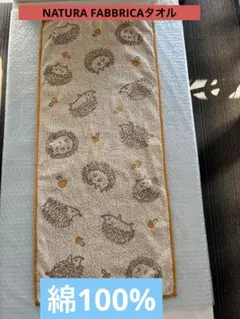 Item thumbnail for item 62684a99-6cab-47cd-b384-19bafbc0d31b