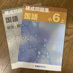 早稲田アカデミー 2025年 小6夏期講習 国語 - メルカリ