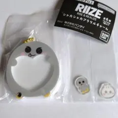 RIIZE シャカシャカアクリルチャーム ガチャ ウンソク