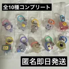 TRUZ めじるしアクセサリー treasure トレジャー コンプ ガチャ