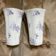 有田焼 華山 ビアたん グラス 2つセット