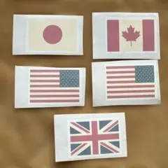 Item thumbnail for item 39f0c844-c3de-4469-919b-07f67bd02597