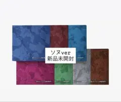 ENHYPEN THE SIN:VANISH FUGITIVES ソヌ