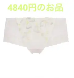ぬ*こ様 トリンプ高級ライン　FLORALE by Triumph Lサイズ シ