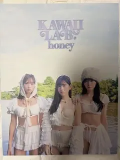 LARME KAWAII LAB.honey（vol.1） カワラボ 写真集