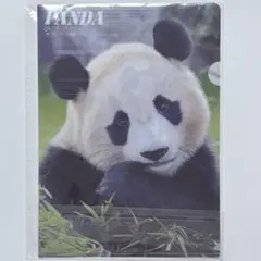 2026年最新】アドベンチャーワールド クリアファイルの人気アイテム