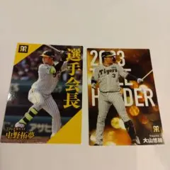 Item thumbnail for item 91ebbf46-d427-44e2-8586-08890848f286