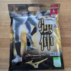 MizunoPro ユニフォームパンツ Lサイズ　12JDCU1301のサムネイル