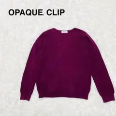 オペークドットクリップ　ボルドー　Vネック ニット　長袖　薄手　【L】　セーター