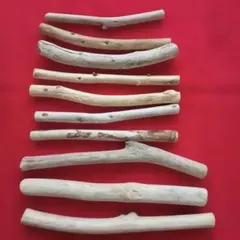 Item thumbnail for item c99e2410-68c3-483d-bbb4-e537302347db