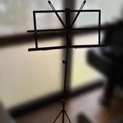 Item thumbnail for item 23b776d2-29f3-4dfc-bab9-9b6b388a3c95