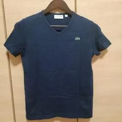 ラコステ　半袖Tシャツ　Sサイズ(日本サイズ)